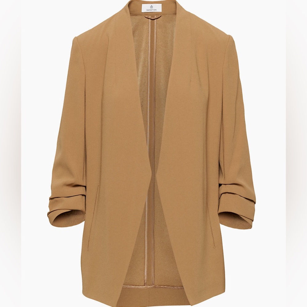 Aritzia Babaton Power Hip Blazer